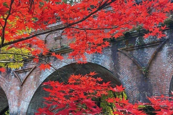 大阪発京都旅行プライベートバンチャーター