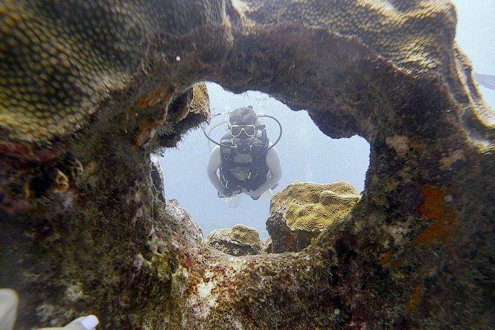 Aruba 2-Tank Dive Excursion for Certified Divers
