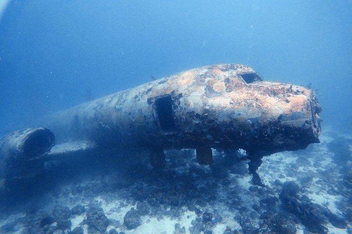 Aruba 2-Tank Dive Excursion for Certified Divers