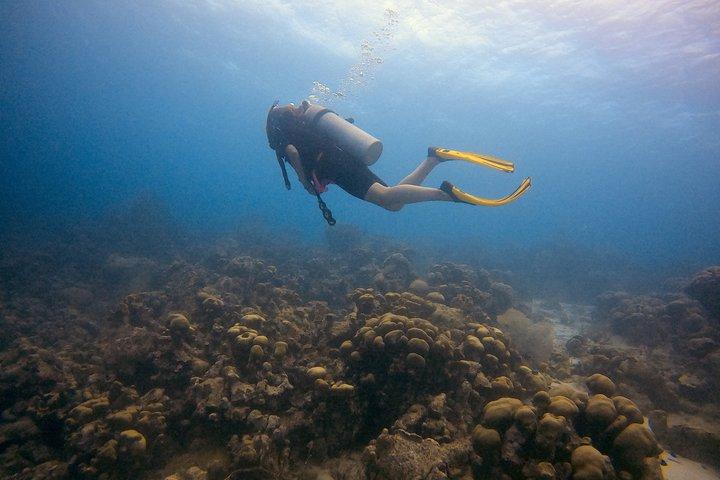 Aruba 2-Tank Dive Excursion for Certified Divers