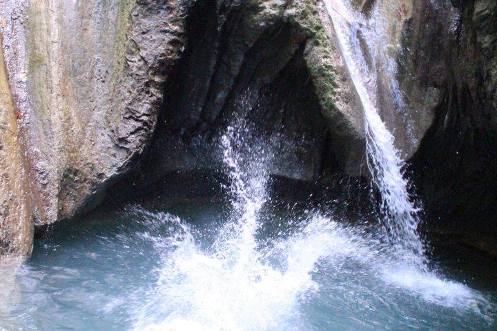 Puerto Plata: Combo Shore Excursion Monkey & Damajagua Waterfalls