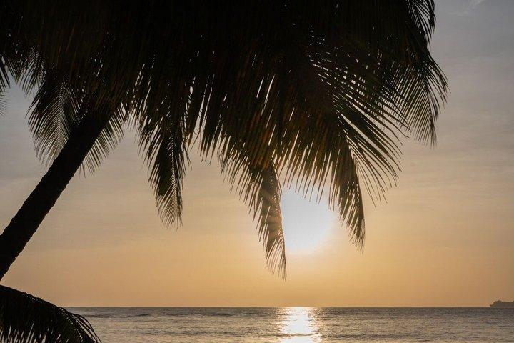 セントルシアでのカヤックと竹筏の写真撮影