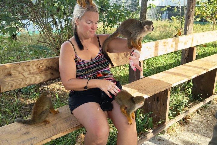 Puerto Plata: Combo Shore Excursion Monkey & Damajagua Waterfalls