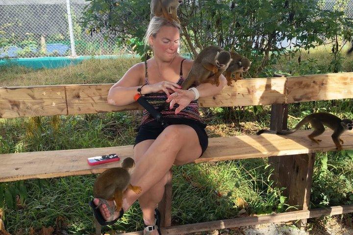 Puerto Plata: Combo Shore Excursion Monkey & Damajagua Waterfalls