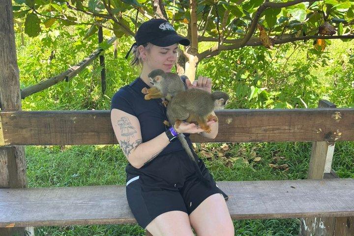 Puerto Plata: Combo Shore Excursion Monkey & Damajagua Waterfalls