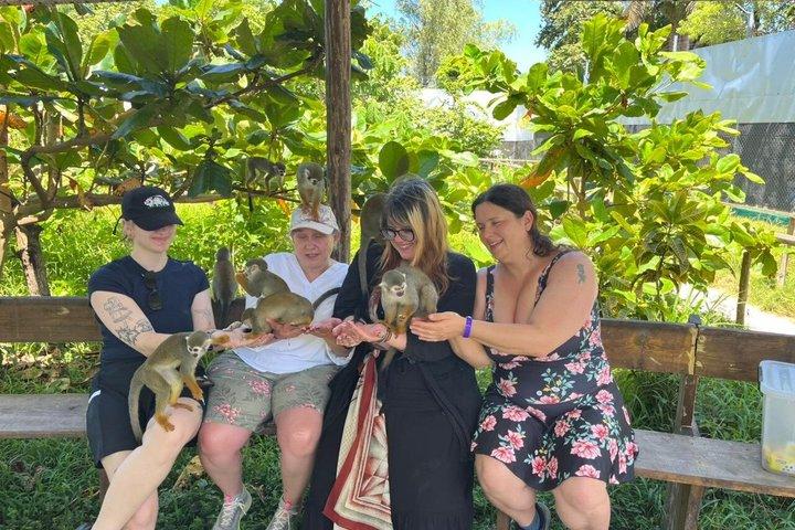 Puerto Plata: Combo Shore Excursion Monkey & Damajagua Waterfalls