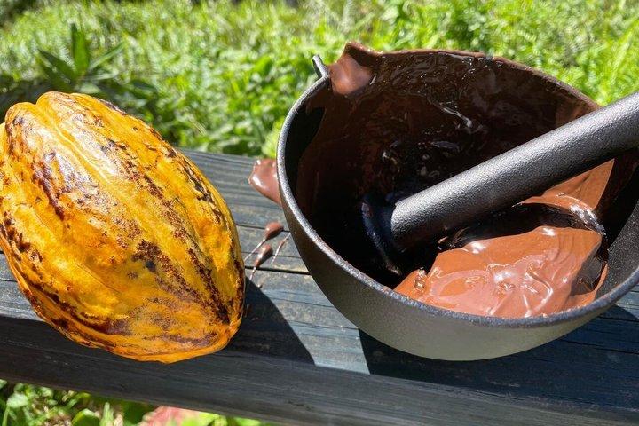 St Lucia Chocolate and Coffee Making Tour Experience