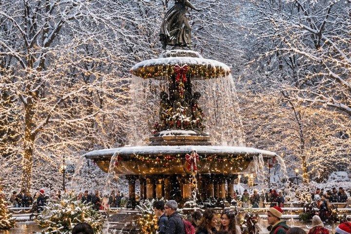 NYC ホームアローン2 クリスマスツアー サンタとホリデーのお菓子付き