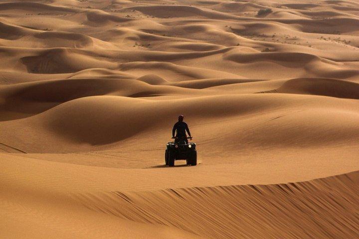 Doha Desert Safari Dune Bashing and Camel Ride