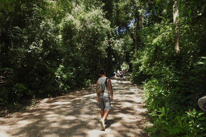 マヌエル・アントニオ国立公園ガイド付き野生動物ツアー