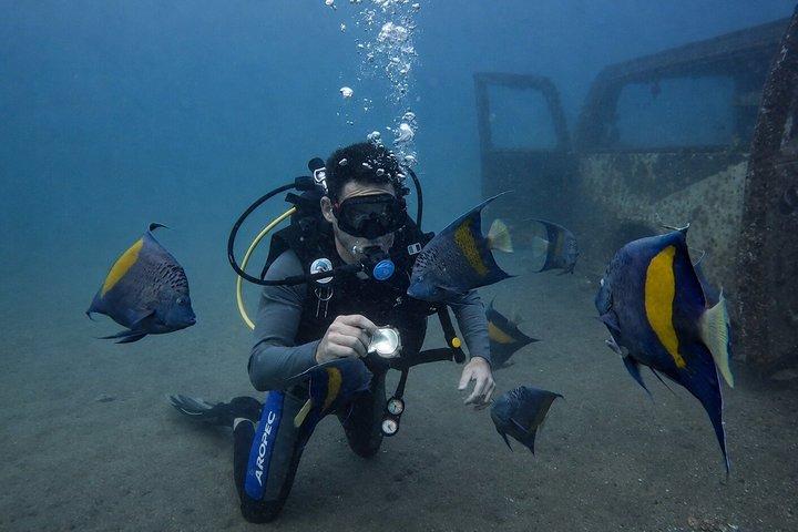 Try Scuba dive in Qatar