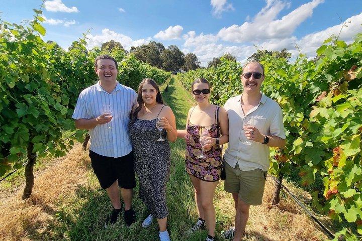 Small Group Hunter Valley Wine Tour + Lunch, Gin & Choc ex Sydney