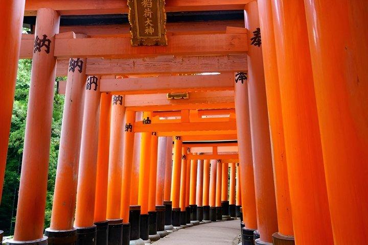 京都の伏見稲荷竹林と祇園プライベートツアー
