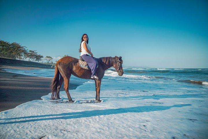 Bali Hesttur-eventyr på stranden