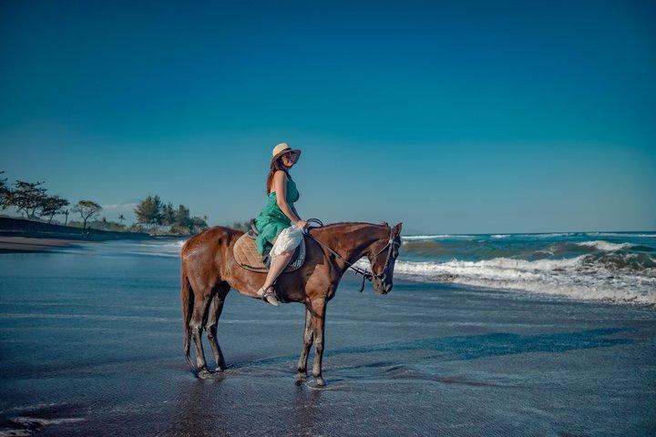 Bali Hesttur-eventyr på stranden
