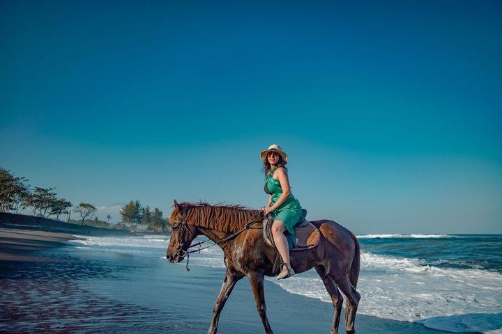 Bali Hesttur-eventyr på stranden