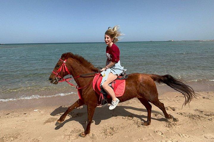 ハルガダでのビーチと砂漠での2時間の乗馬体験