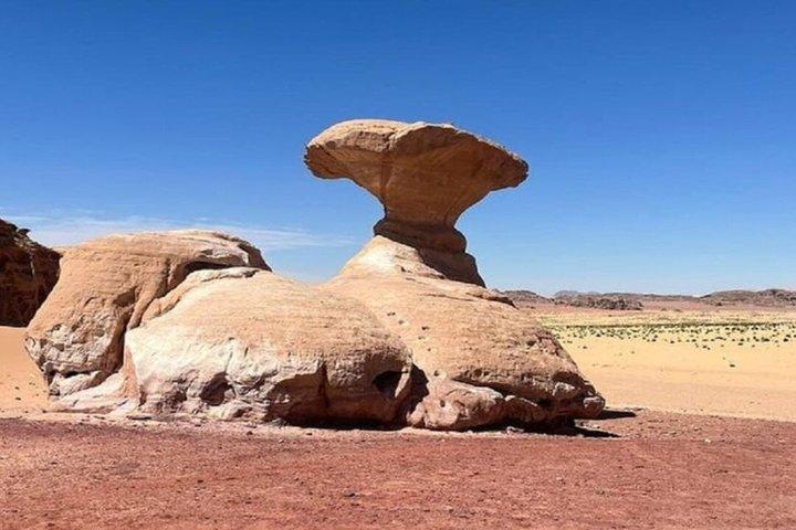 ペトラからワディラムへ、そしてアンマンか空港へ。
