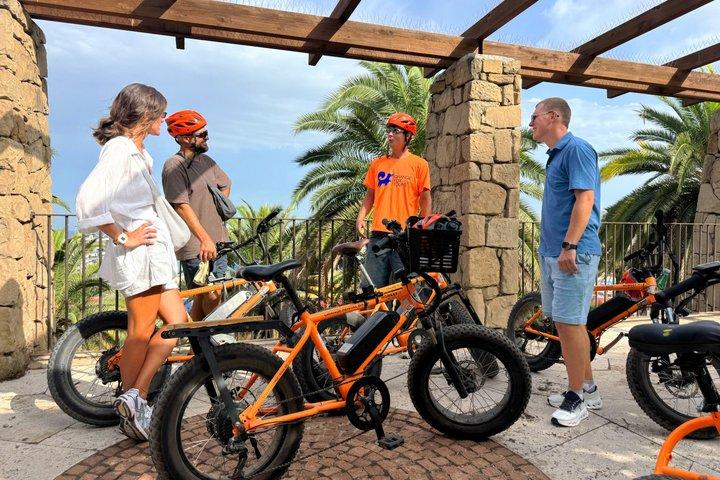 Barcelona Montjuïc E-Bike Tour: Castle, Views & Highlights