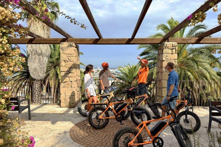 バルセロナモンジュイックEバイクツアー：城、景色＆見どころ