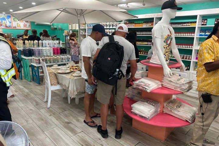 ガイド付きATVナッソーツアー ビーチストップ ホテルおよび港からの送迎サンプル