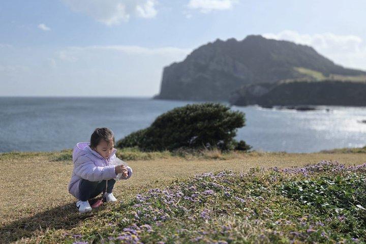 Jeju East Highlights – Custom Private Guided Tour