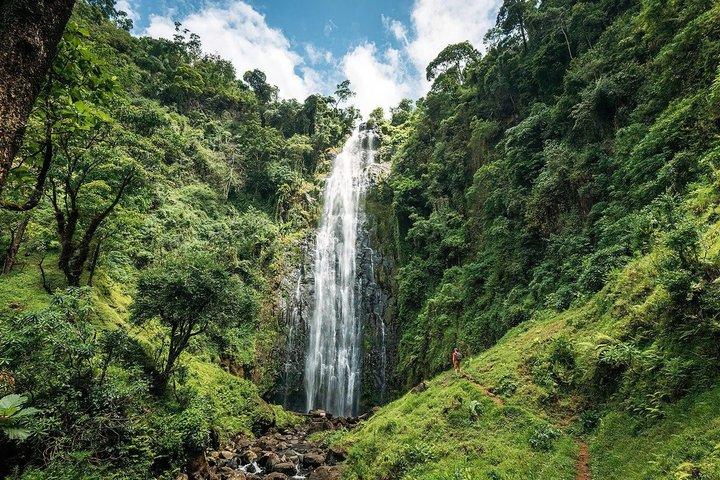 Moshi Materuni Waterfalls and Organic Arabica Coffee Tour