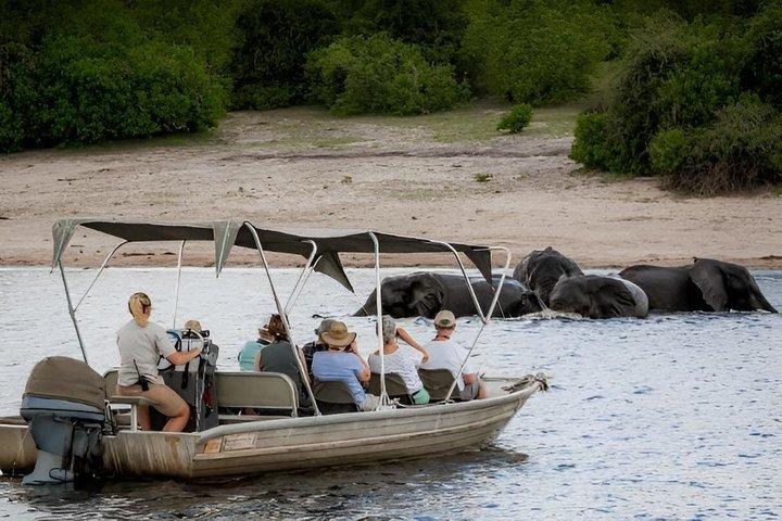 Chobe-dagtrip vanuit Livingstone