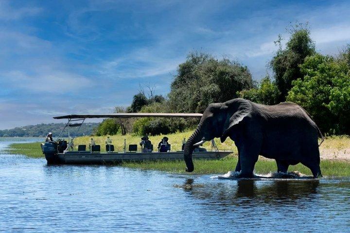 Chobe-dagtrip vanuit Livingstone