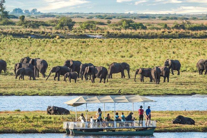 Chobe-dagtrip vanuit Livingstone