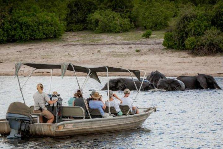 Chobe-dagtrip vanuit Livingstone