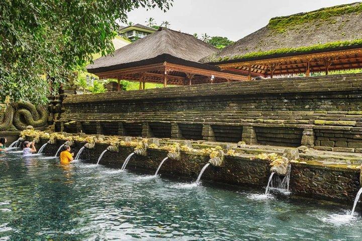 Tour privato di Ubud con altalena sulle terrazze di riso, tempio e cultura balinese
