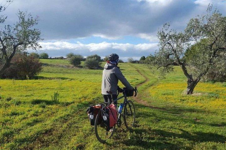 アルタ・ムルジアを自転車で巡る:30kmの中級ツアー
