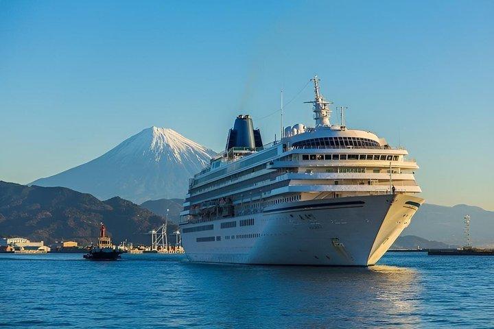 From Tokyo: Mount Fuji Private Customizable Tour with Guide