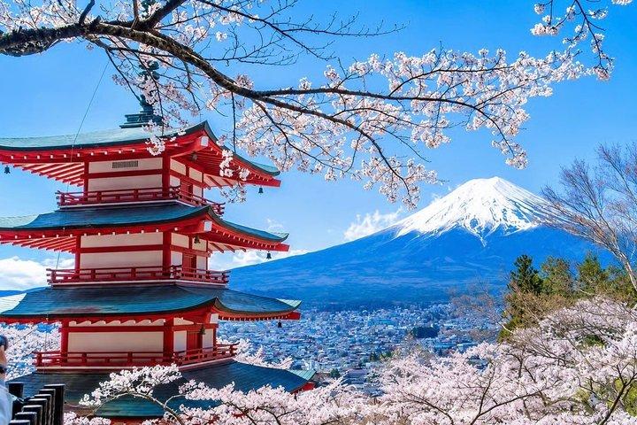 From Tokyo: Mount Fuji Private Customizable Tour with Guide