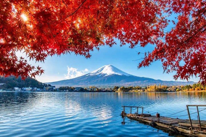 From Tokyo: Mount Fuji Private Customizable Tour with Guide