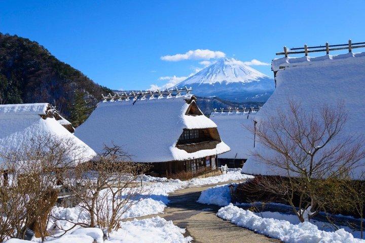 From Tokyo: Mount Fuji Private Customizable Tour with Guide