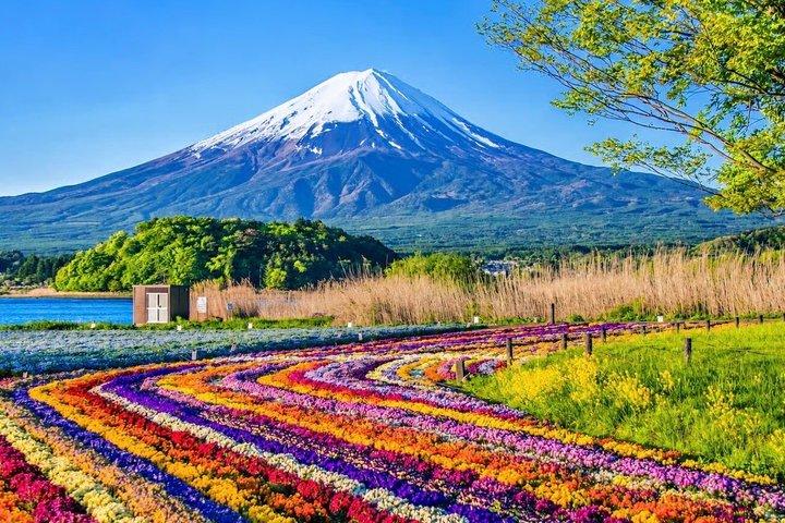 From Tokyo: Mount Fuji Private Customizable Tour with Guide