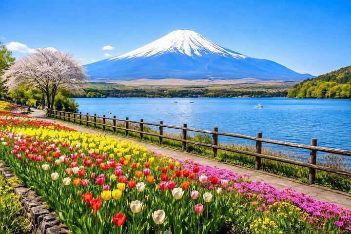 From Tokyo: Mount Fuji Private Customizable Tour with Guide