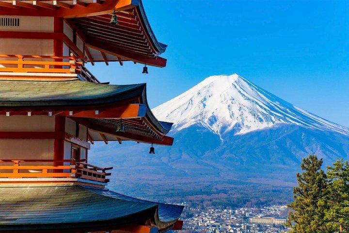 From Tokyo: Mount Fuji Private Customizable Tour with Guide