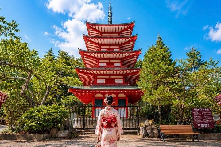 From Tokyo: Mount Fuji Private Customizable Tour with Guide