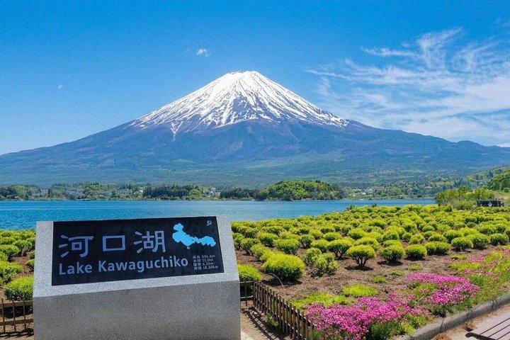 From Tokyo: Mount Fuji Private Customizable Tour with Guide