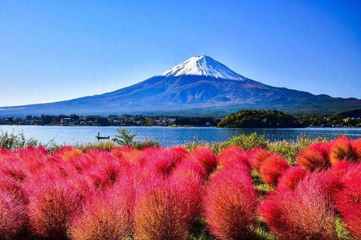 From Tokyo: Mount Fuji Private Customizable Tour with Guide