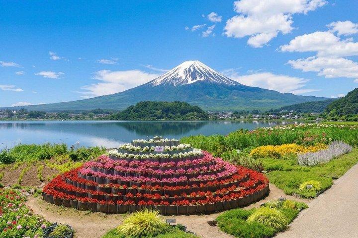 From Tokyo: Mount Fuji Private Customizable Tour with Guide
