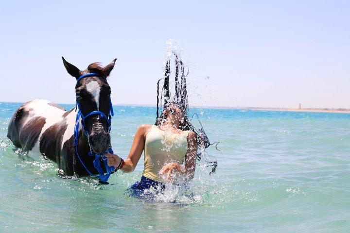 ハルガダ：朝または夕方の乗馬と水泳
