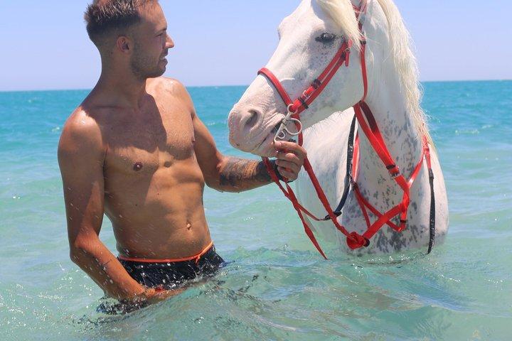 ハルガダ：朝または夕方の乗馬と水泳