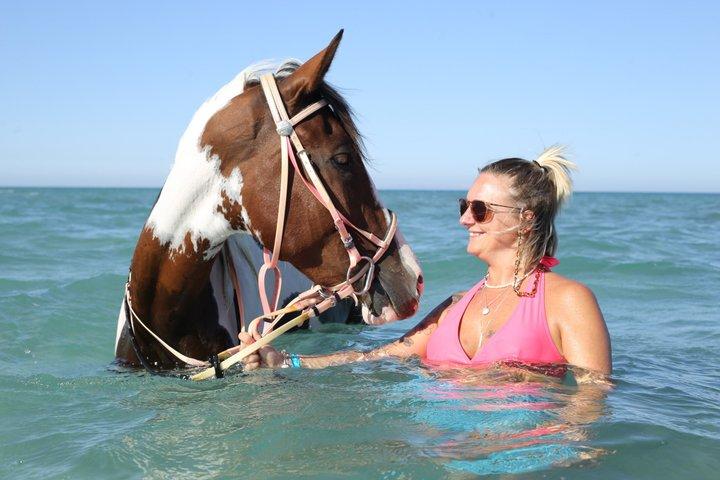 ハルガダ：朝または夕方の乗馬と水泳