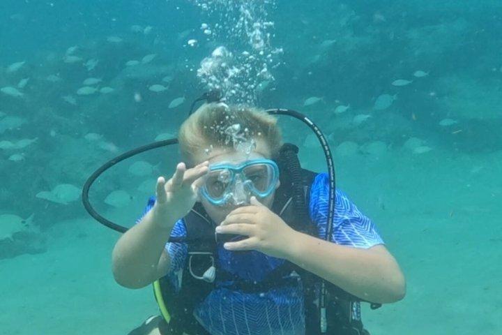 Scuba Diving No Experience Needed Videos Included