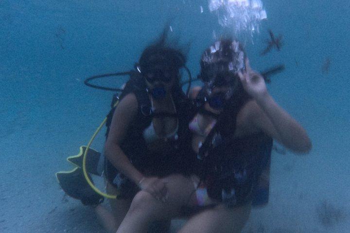 Scuba Diving No Experience Needed Videos Included
