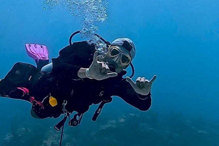 Scuba Diving No Experience Needed Videos Included